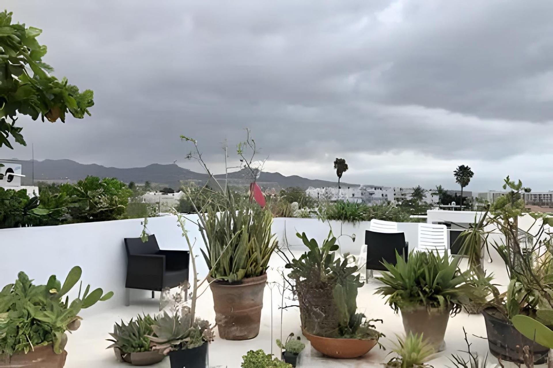 12 De Octubre Apartment Cabo San Lucas Exterior photo